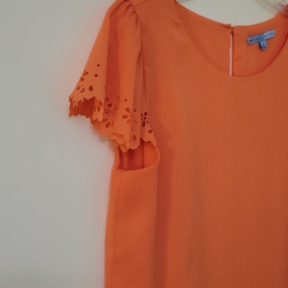 π
ΊANTONIO MELANI Peach Floral Cutout Cap Sleeve Babydoll Blouse Small - Picture 4 of 9
